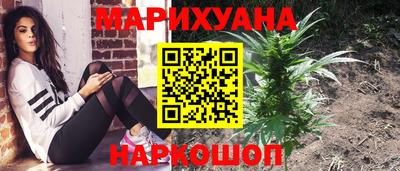 кокс Гай