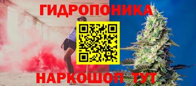кокс Гай
